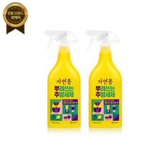 자연퐁 뿌려쓰는 주방세제 레몬향 500ml 2개