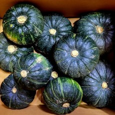 미니 단호박 밤호박 2kg, 단품, 1, 상세페이지 참조