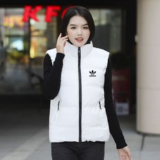 따뜻한 패딩 조끼 남성 가을 겨울 다운 보온 목화 목화솜 XT20201008309Z