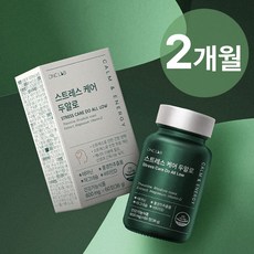 스트레스케어 두알로 L 테아닌 홍경천 피로개선 마그네슘 비타민D, 2개, 60정