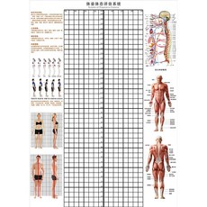 체형분석스크린