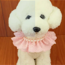 콩자네 강아지 목걸이 고양이 케이프 레이스, 1개