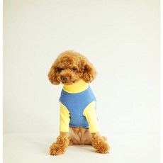 타미힐피거목폴라-추천-상품