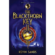 The Blackthorn Key Prebound, Turtleback Books, English, 9780606389662