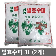 화이건