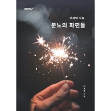 분노의파편들