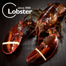 푸릇푸릇 활 랍스터 랍스타 바닷가재 버터구이 요리 용 lobster 캐나다 자숙랍스터 랍스터테일 500g 1kg, 활 랍스터 700g 1마리