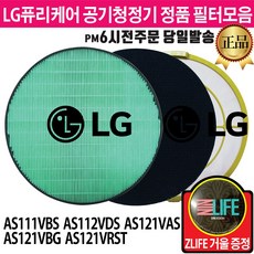 LG 퓨리케어 공기청정기 정품 필터 AS112VDS AS111VBS AS121VAS AS121VBG AS121VRST (즐라이프거울 무기한증정), 2.초미세먼지 필터