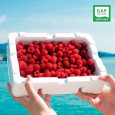 GAP인증 하동 산딸기 생과일 고당도 노지 왕산딸기 국내산 산지직송, 1개, 400g