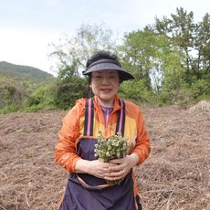 해풍맞고 자란 남해산 고사리 건고사리 1kg 남해건강마을 [원산지:국산(경상남도 남해군)]