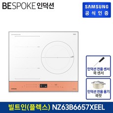 삼성비스포크인덕션플렉스