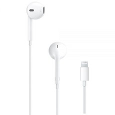 라이트닝이어팟