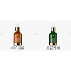 뉴아르베라
