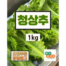 [채소연구소] 청상추 1kg 2kg 4kg 당일수확 상추 산지직송, 1개