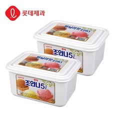 [본사직영]롯데제과 조안나 바닐라 5L X 2개 아이스크림