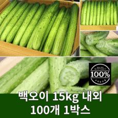 백오이100개