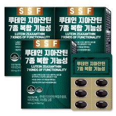 순수식품 루테인 지아잔틴 7종 복합기능성 아연 셀렌 500mgX90캡슐(3개월분), 500mg, 90캡슐