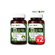 징코플러스 은행잎추출물 기억력 혈행개선 4병 8개월, 60정, 4개