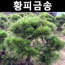 5cf895cc8e236e92c67be2c42ab081515c93ac25aa4f22623f8ebd39309f.jpg