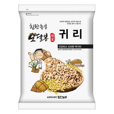 군산옥구농협귀리