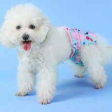 강아지 생리대 소형 암컷용 소형견 배변 기저귀 60매, 1개