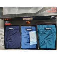 트라이인견브리프