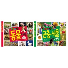 곤충사전
