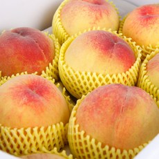 경북청도복숭아