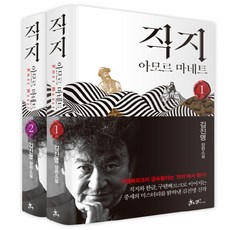 김진명직지