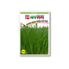 보키니 새싹귀리 귀리 씨앗 종자 30g