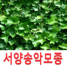 587e439df2ad613aeb56fce58ccd4172842bfdb71104c7cd2c6c34609f95.png