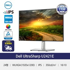 DELL UltraSharp U2421E 가성비 와이드 모니터 16:10 USB-C