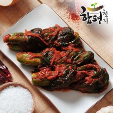 함평천지단호박