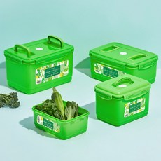 [국산] 항균 그린 밀폐 용기 김치통 BPA FREE, 12.5L, 2개