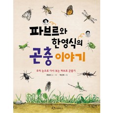 곤충의눈