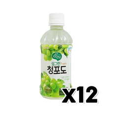 자연은싱그런 청포도주스 패트 340ml x 12개