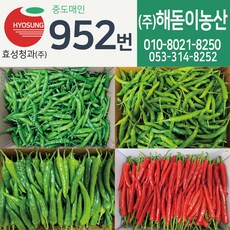 꽈리고추