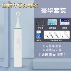 스케일러 셀프고양이스케일링 고양이 강아지치석제거기, 디럭스 패키지 그린+5 브러쉬, 1개