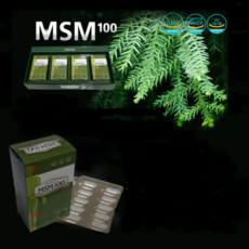 msm100t