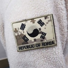 태극기와펜