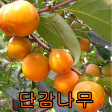 bc320976a5b2649693b846c9b3c7147177ba2a66be37901e692bf664a24c.png