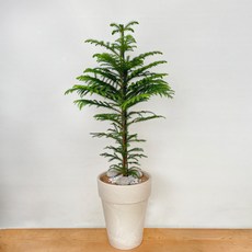2e38ff679d5a60a89e8ca61aa3eb9627e81e9e0297c81e0b0acbd46f72bb.jpg