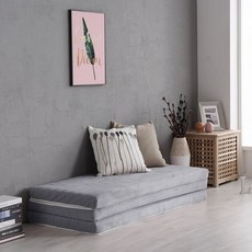 바이오웰기능성삼단요