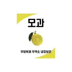 농담곰스티커