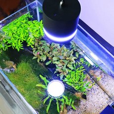 4자어항조명 수족관 조명 수초등 어항등 식물 LED, 1개, 상세페이지 참고, 수생식물 다운라이트 16W