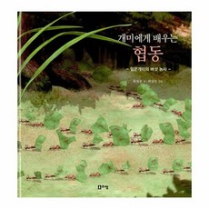 최재천 교수의 어린이 개미이야기(SET)전15권, 상세페이지 참조