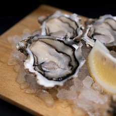 제철 명품 완도 생굴 3kg, 1개