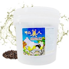 쓴메밀중국산10kg