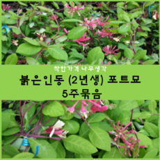 e2f83d1c0cb528d54cb7708a9a554d3c6da6669eab8a79569842490c3474.png