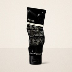 이솝 스컬프 헤어 폴리시 100mL, 1개